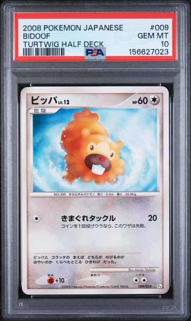 Bidoof