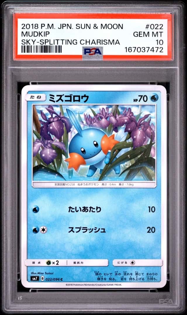 Mudkip