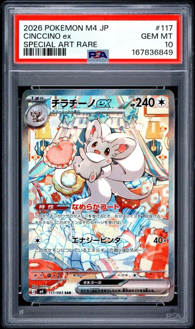 CINCCINO ex