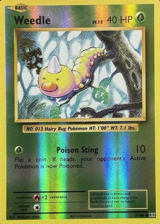 Reverse Holo