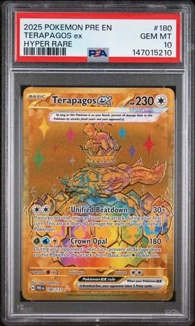 TERAPAGOS ex