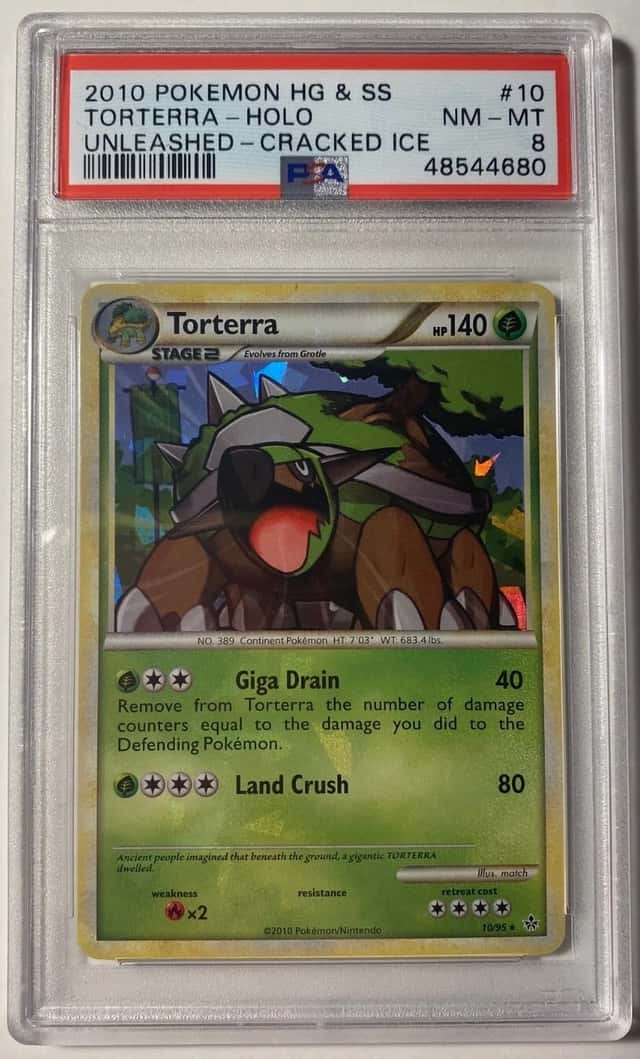 Torterra