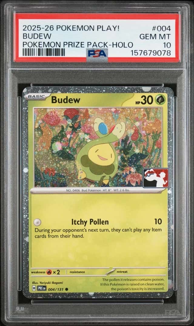 Budew