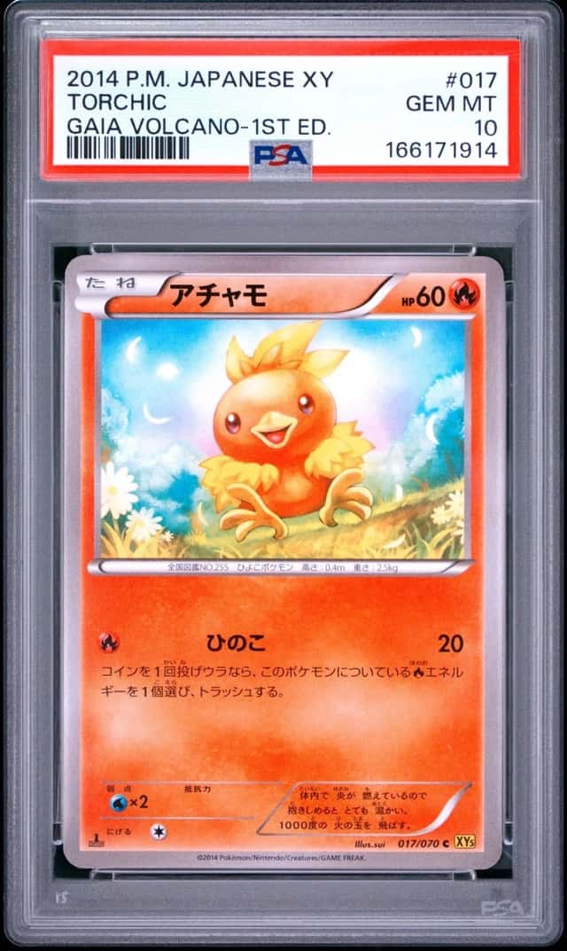Torchic