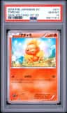 Torchic