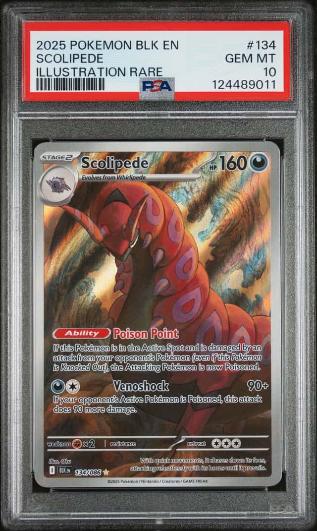 Scolipede
