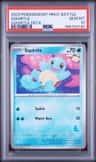 Squirtle
