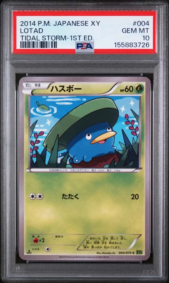 Lotad