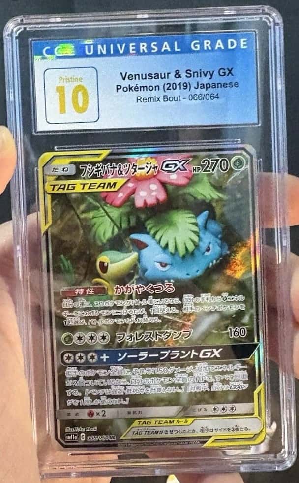 Venusaur & Snivy GX