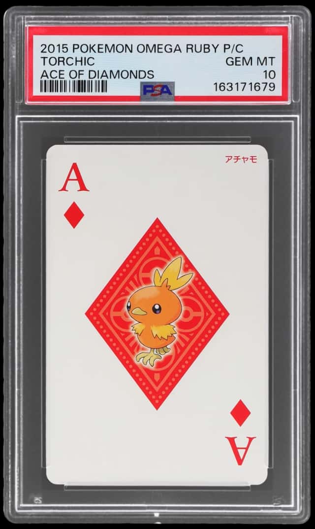 Torchic