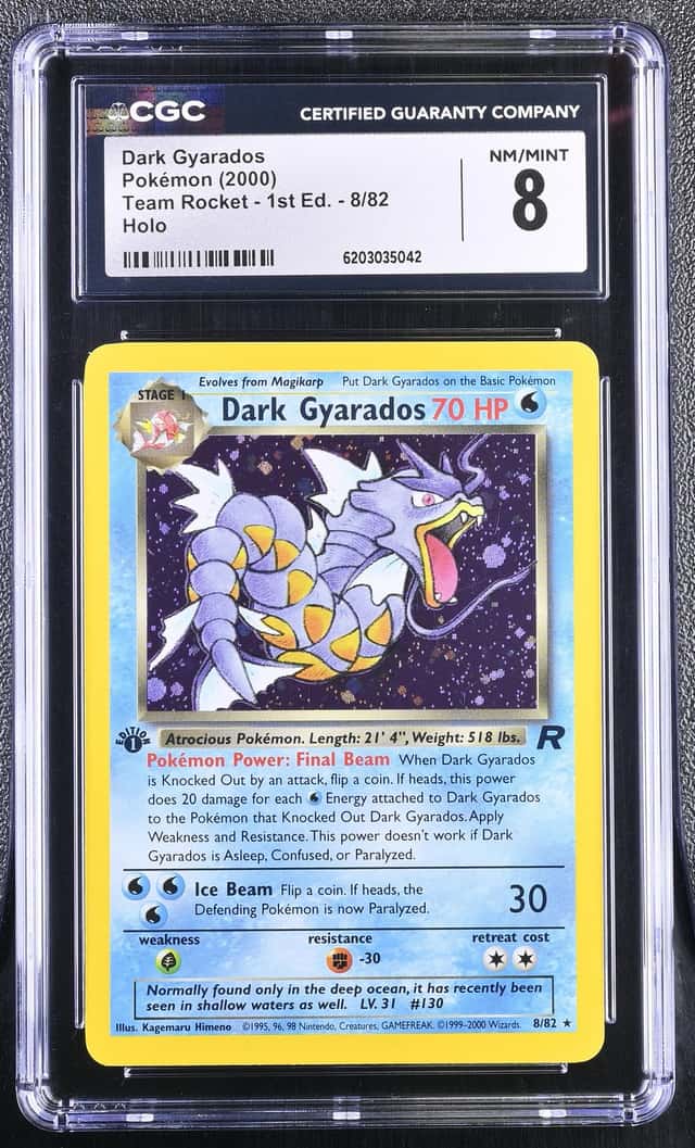 Dark Gyarados