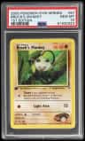 Brock'S Mankey