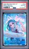 Nefeltari Vivi