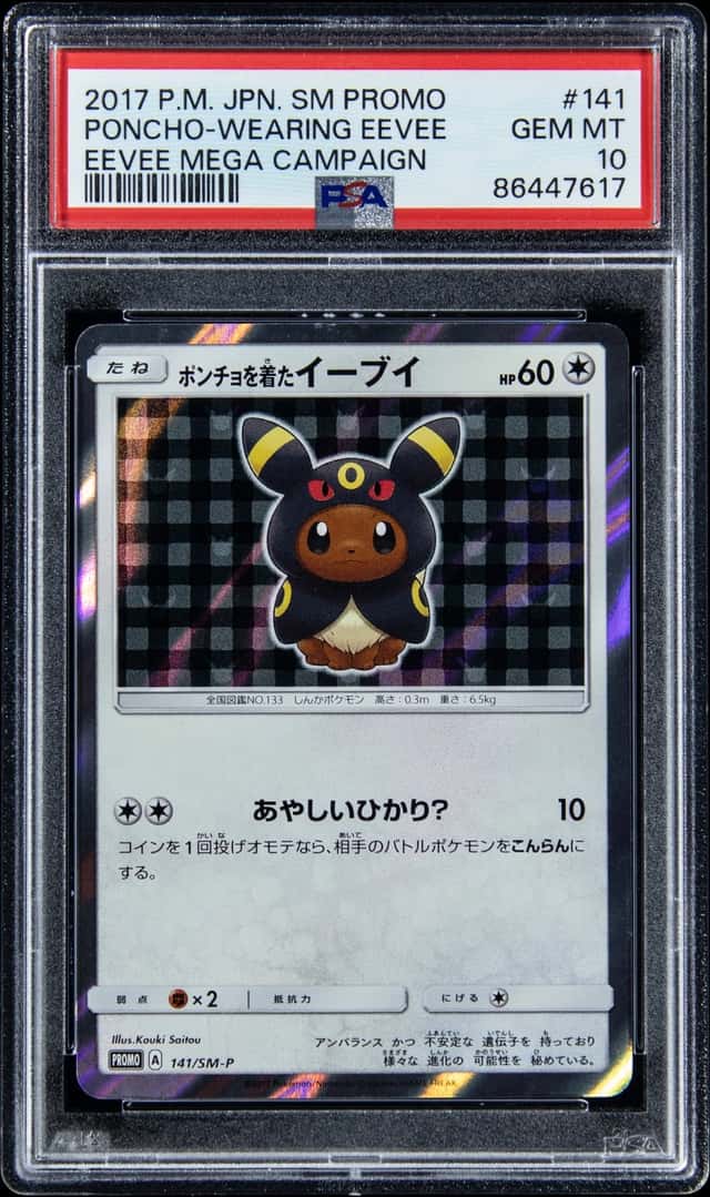 Poncho-Wearing Eevee