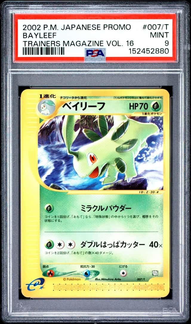 Bayleef