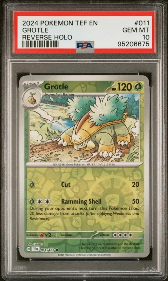 Grotle