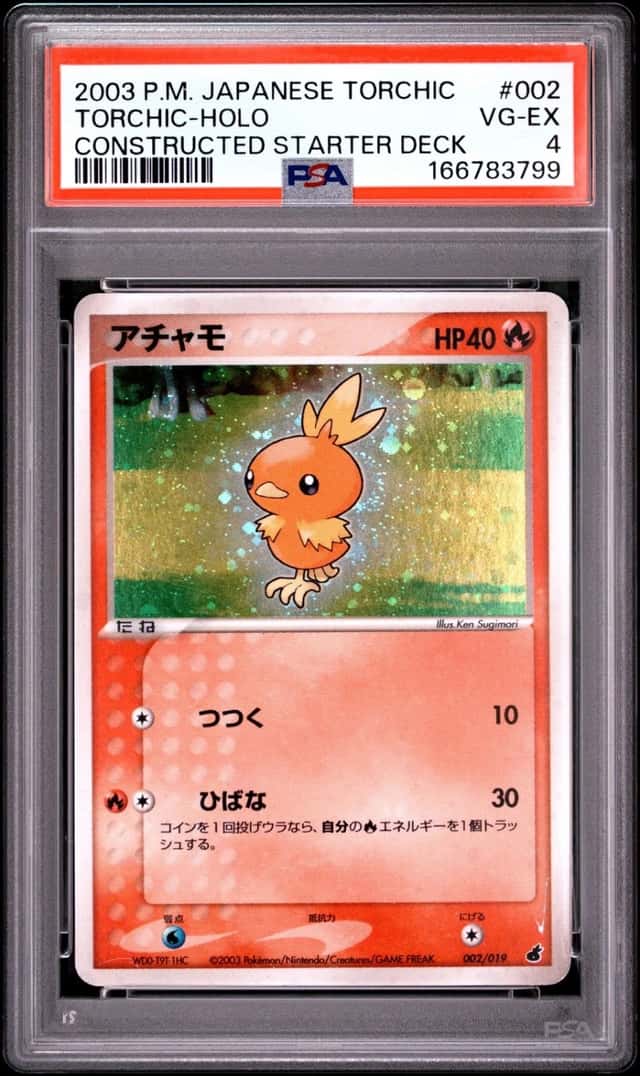 Torchic