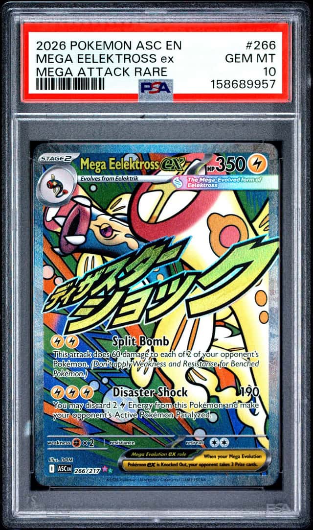 MEGA EELEKTROSS ex