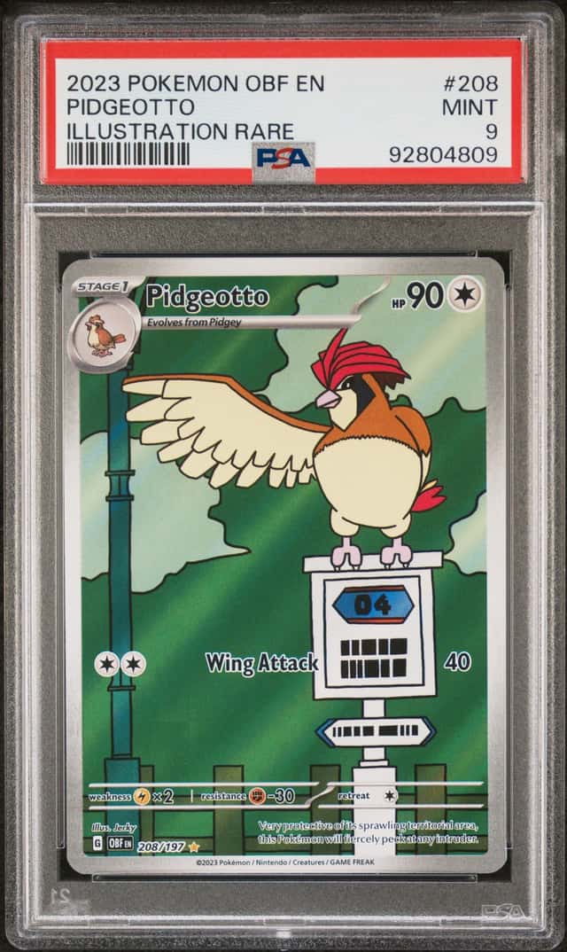 Pidgeotto