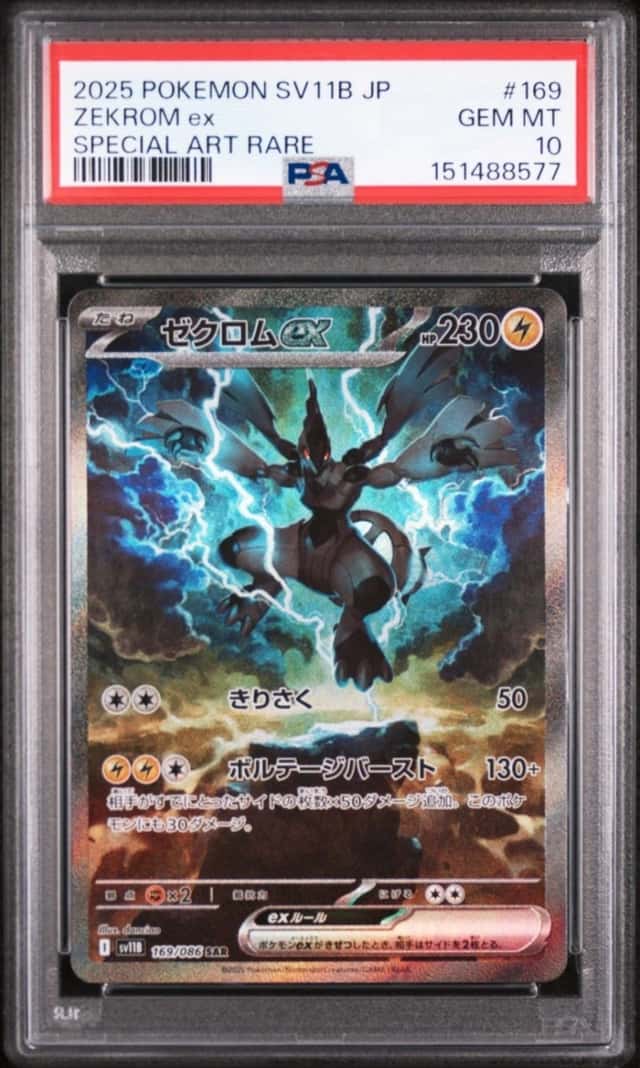 ZEKROM ex