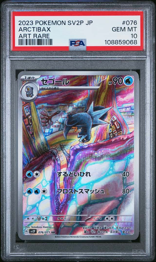 Arctibax