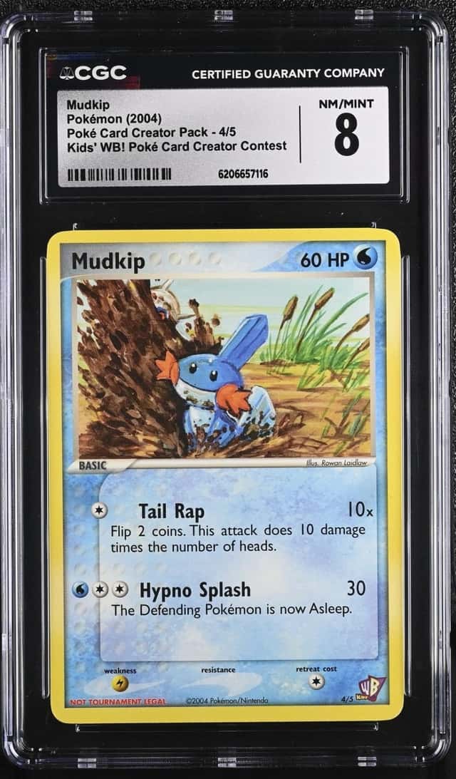 Mudkip