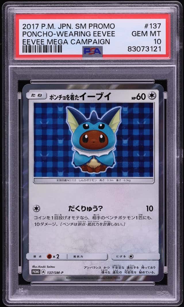 Poncho-wearing Eevee