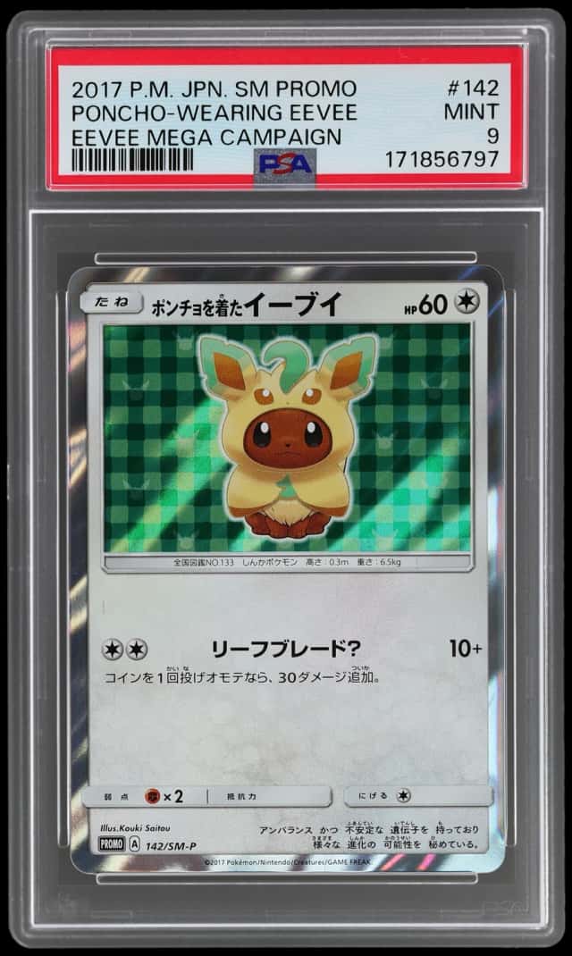 Poncho-Wearing Eevee