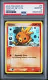 Torchic