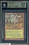 Gaea'S Cradle