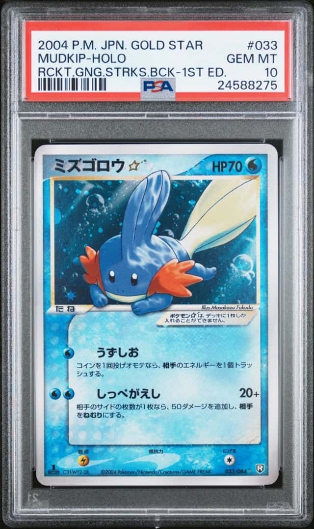 Mudkip