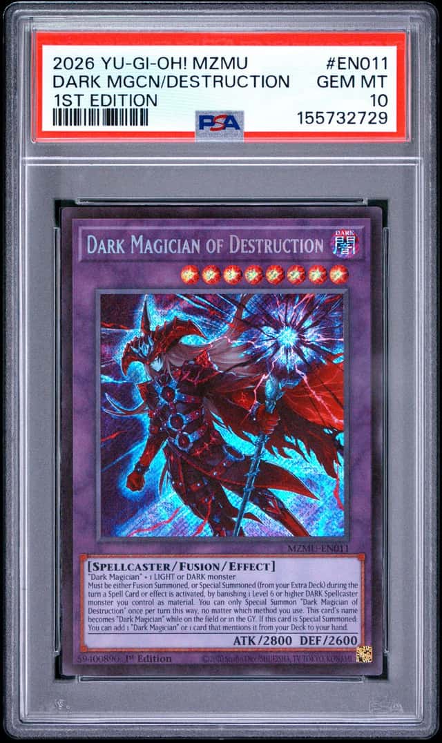 DARK MGCN/DESTRUCTION