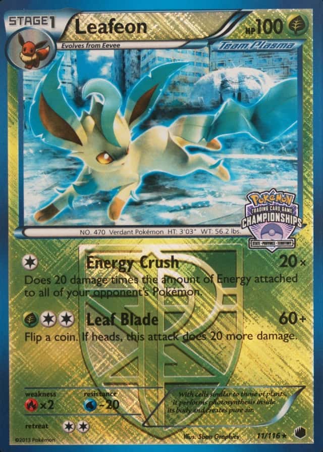 Holo · Championships P S T