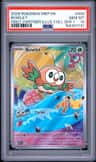 Rowlet