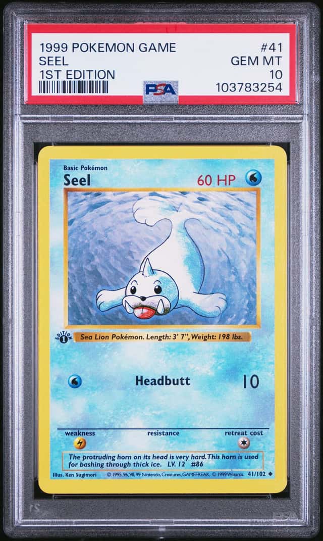 Seel