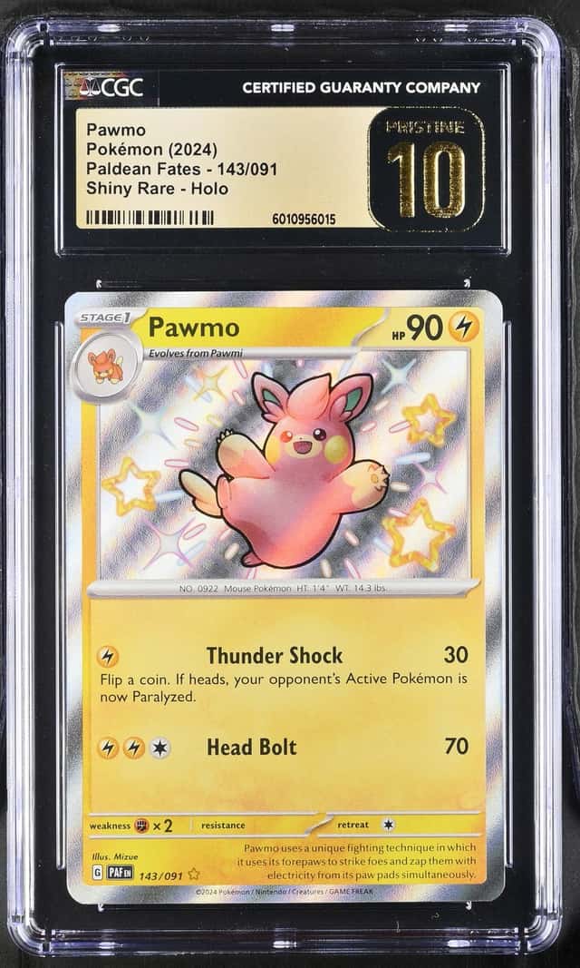 Pawmo