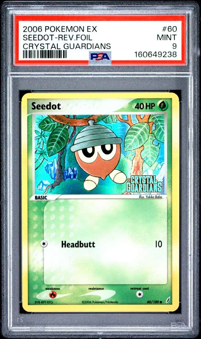 Seedot