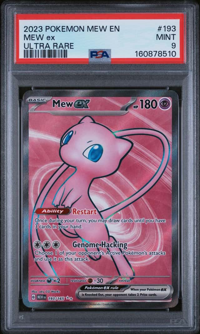 MEW ex