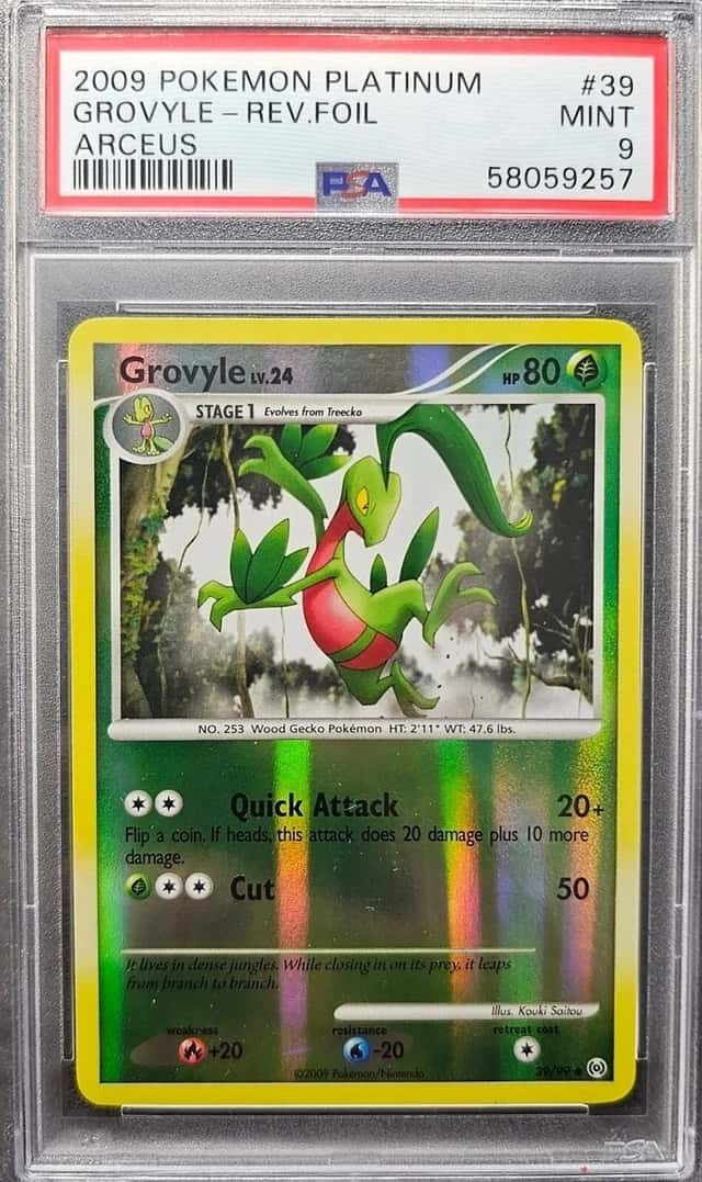 GROVYLE