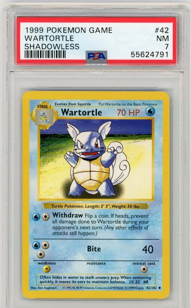 Wartortle