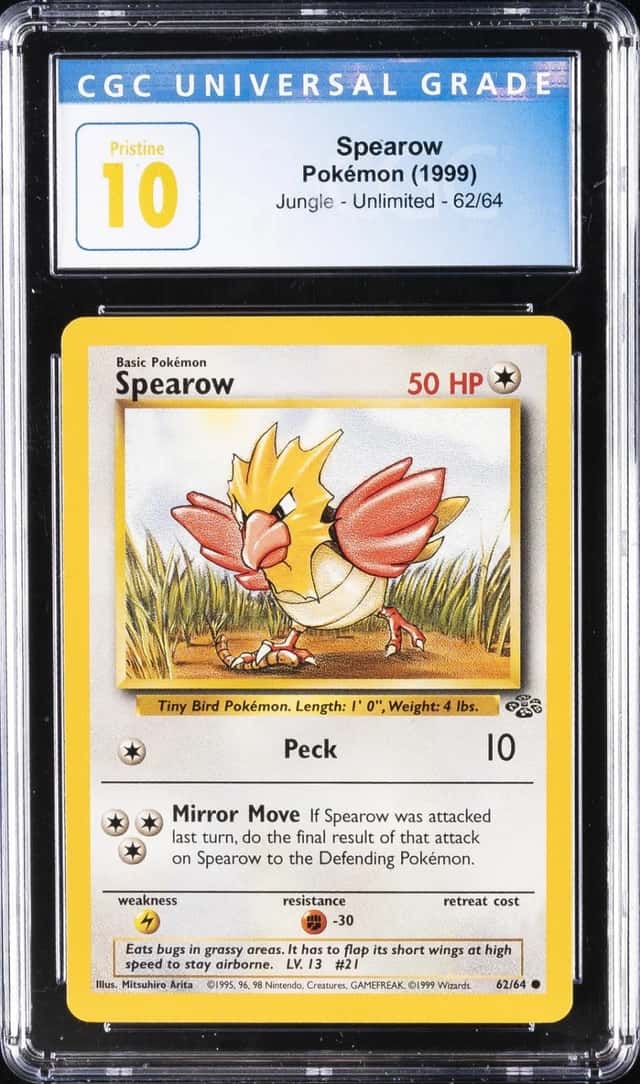 Spearow