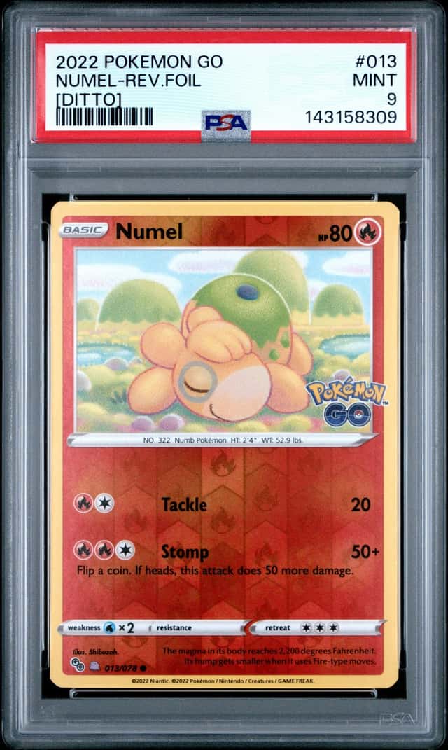 Numel (Ditto)