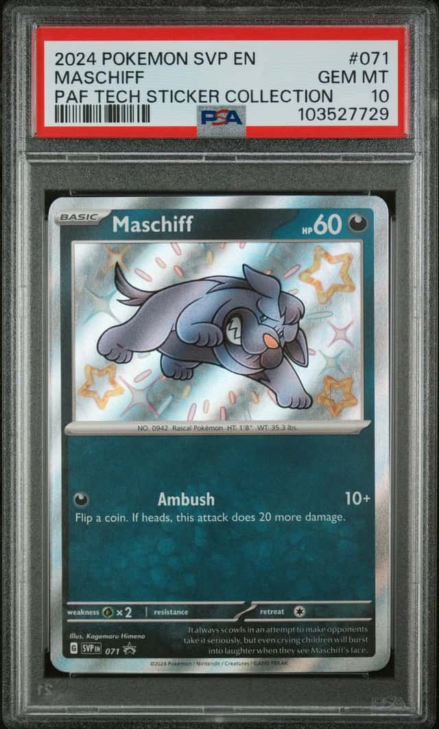 Maschiff