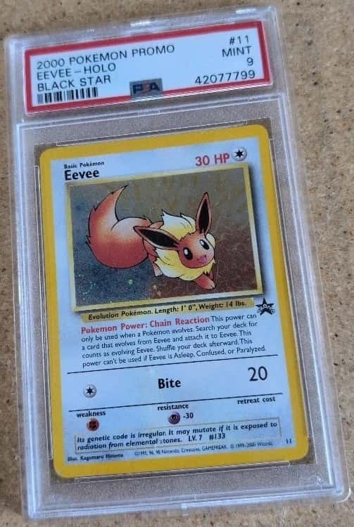 Eevee