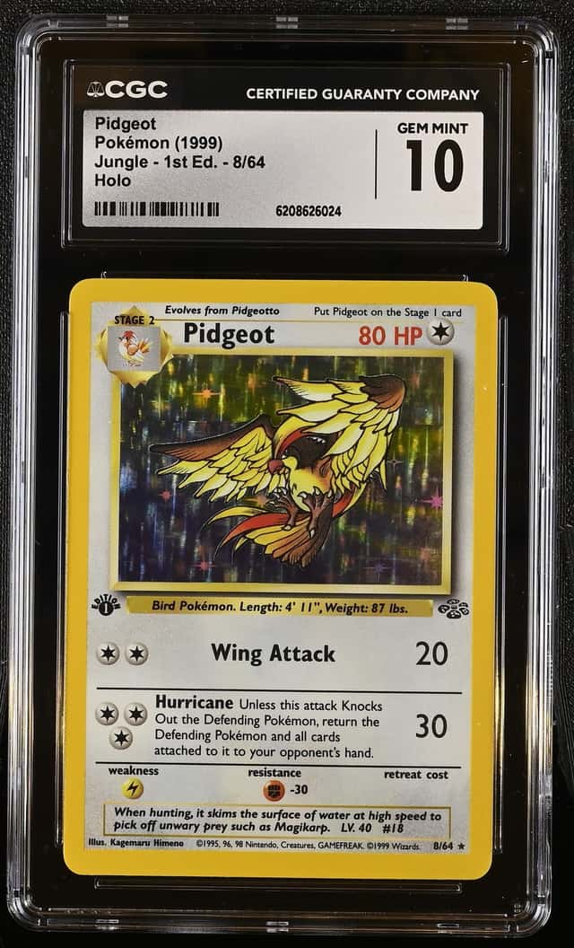 Pidgeot