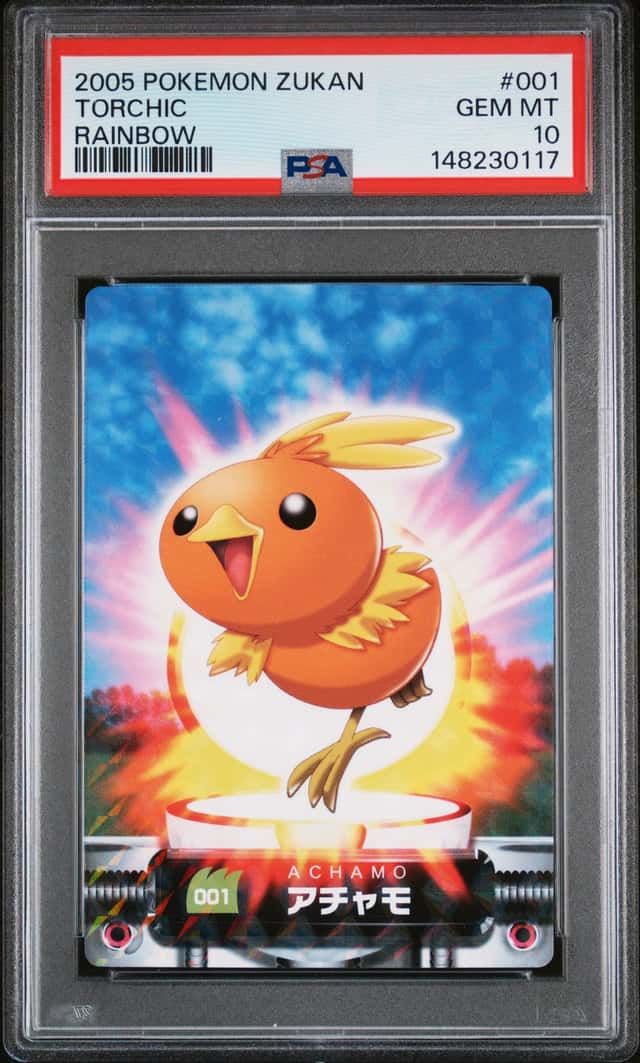 Torchic