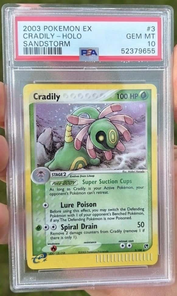 Cradily
