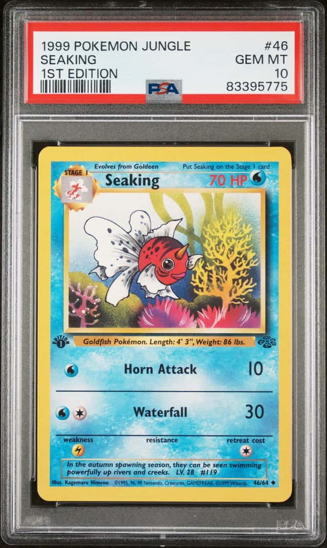 Seaking