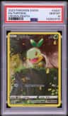 Turtwig