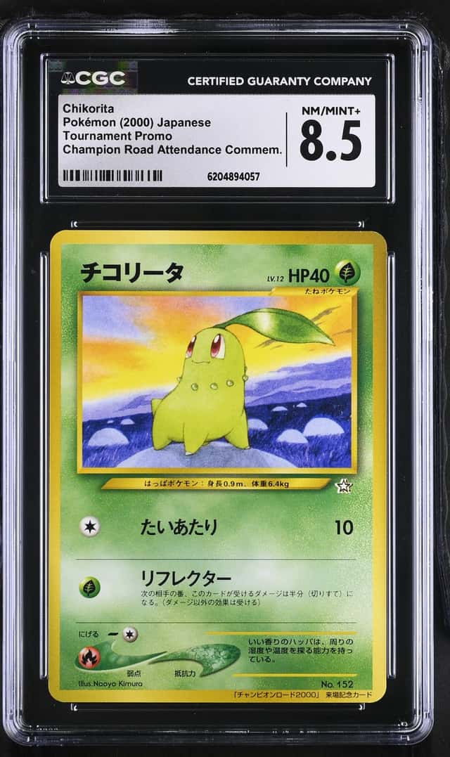 Chikorita